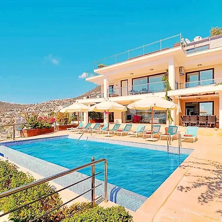 Villla Liver Villa *