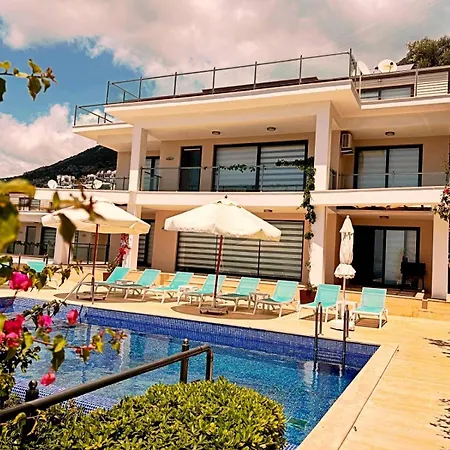 别墅 Villla Liver *