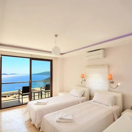 Villa Villla Liver *