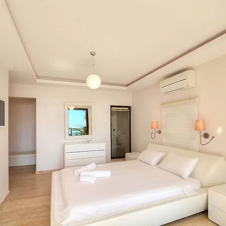 Villa Villla Liver *